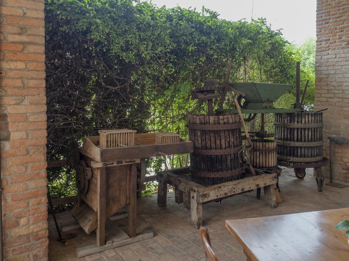 Agriturismo Il Palazzone 몬테갈다 외부 사진